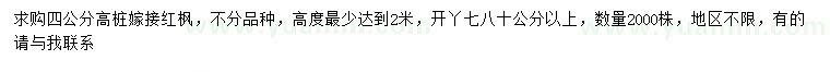 求購4公分高樁嫁接紅楓
