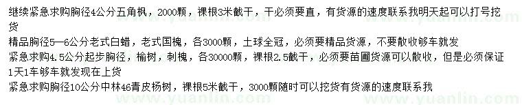 求購五角楓、老式白蠟、老式國槐等