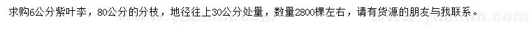 求購30公分量6公分紫葉李