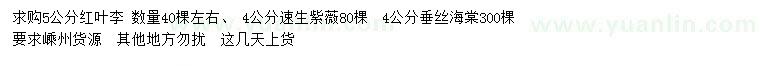 求購(gòu)紅葉李、速生紫薇、垂絲海棠