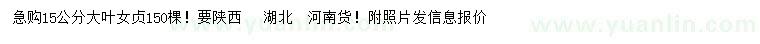 求購15公分大葉女貞