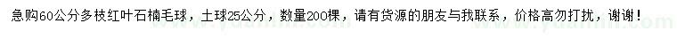 求購60公分紅葉石楠毛球