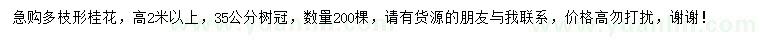 求購高2米以上桂花