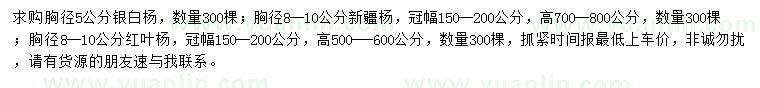 求購(gòu)銀白楊、新疆楊、紅葉楊