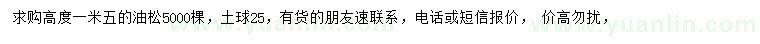求購高1.5米油松