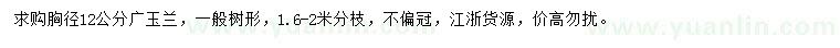 求購胸徑12公分廣玉蘭