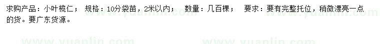 求購10公分小葉欖仁