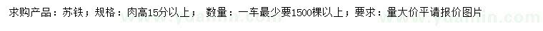 求購(gòu)高15公分以上蘇鐵