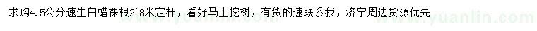 求購(gòu)4.5公分速生白蠟