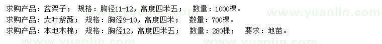 求購盆架子、大葉紫薇、本地木棉