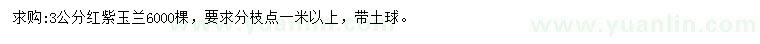 求購3公分紅紫玉蘭
