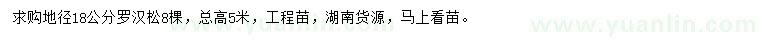 求購地徑18公分羅漢松