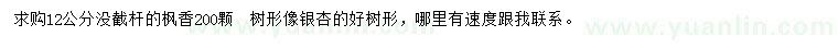 求購12公分楓香