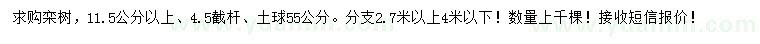 求購11.5公分欒樹
