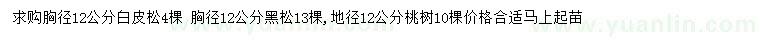 求購白皮松、黑松、桃樹
