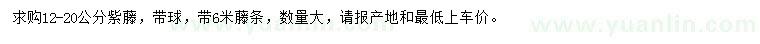 求購12-20公分紫藤