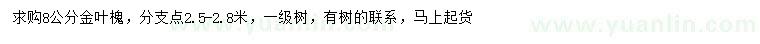 求購(gòu)8公分金葉槐