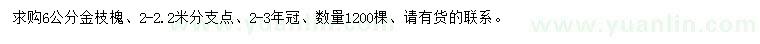 求購6公分金枝槐
