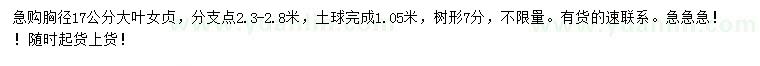 求購(gòu)胸徑17公分大葉女貞