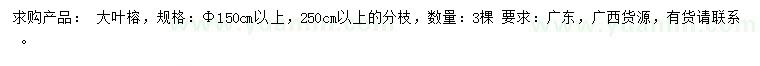 求購150公分以上大葉榕