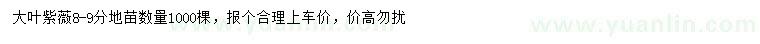 求購8-9公分大葉紫薇