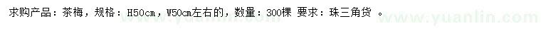 求購(gòu)高50公分茶梅