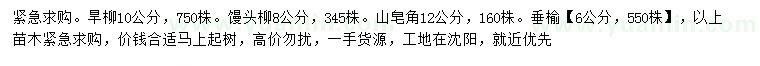 求購旱柳、饅頭柳、山皂角等