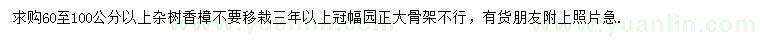 求購60-100公分以上雜樹香樟