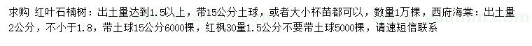 求購紅葉石楠、西府海棠、紅楓