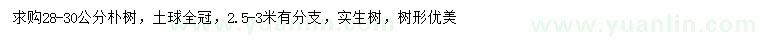 求購28-30公分樸樹