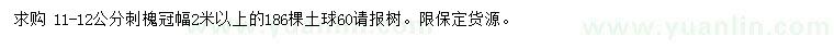求購11-12公分刺槐