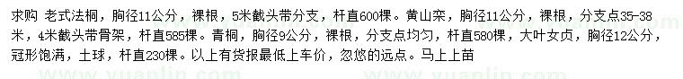 求購(gòu)老式法桐、黃山欒、青桐等