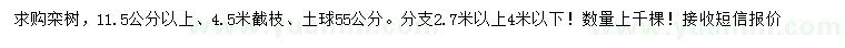 求購(gòu)11.5公分以上欒樹(shù)