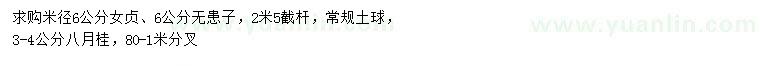 求購(gòu)女貞、無(wú)患子、八月桂