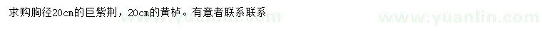 求購胸徑20公分巨紫荊、20公分黃櫨