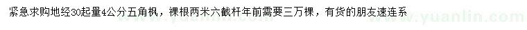 求購30量4公分五角楓