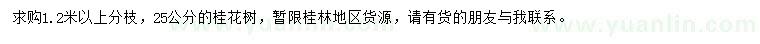 求購25公分桂花