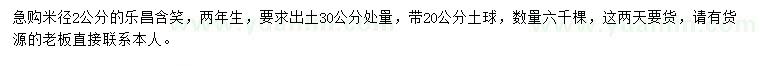 求購(gòu)米徑2公分樂(lè)昌含笑