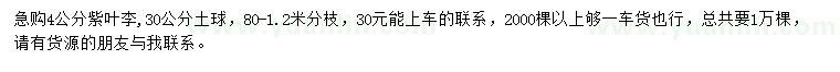 求購4公分紫葉李