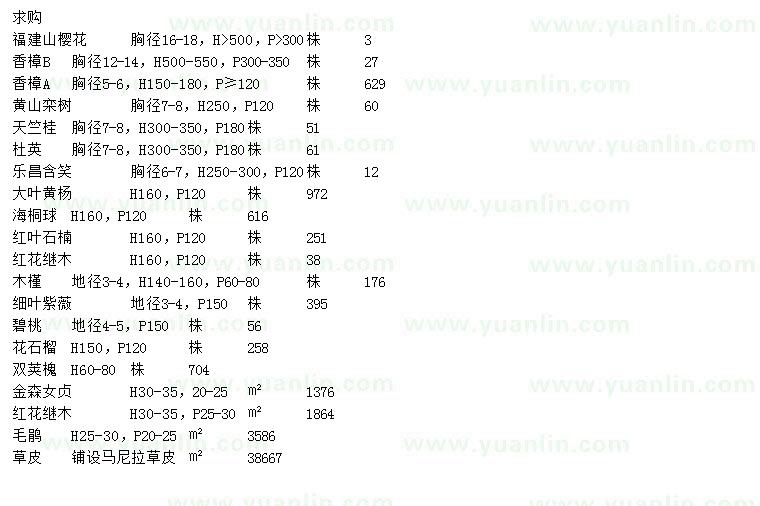 求購福建山櫻花、香樟、黃山欒樹等