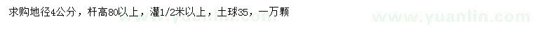 求購地徑4公分雞爪槭