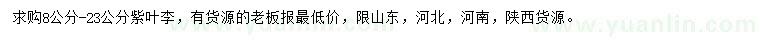 求購8-23公分紫葉李