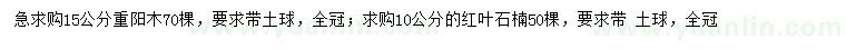 求購15公分重陽木、10公分紅葉石楠