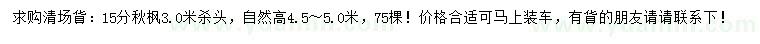 求購(gòu)15公分秋楓