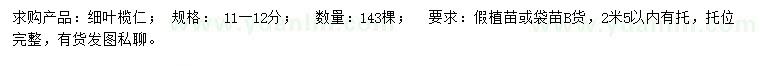 求購11-12公分細葉欖仁