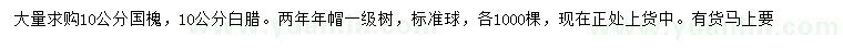 求購10公分國槐、白蠟