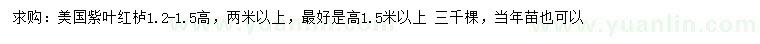 求購高1.5米以上美國紫葉紅櫨