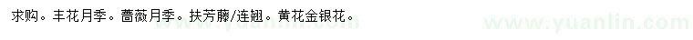 求購(gòu)月季、扶芳藤、連翹等