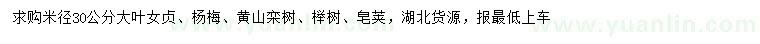 求購(gòu)大葉女貞、楊梅、黃山欒樹(shù)等