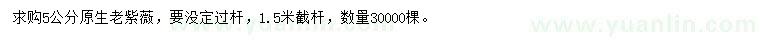 求購5公分老紫薇